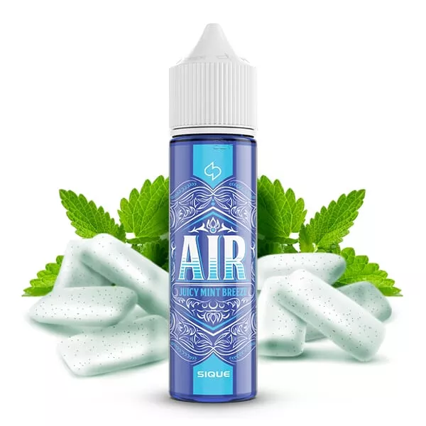 Sique Berlin Air Longfill 60ml blaue Flasche mit Kaugummi-Minze-Motiv und Pfefferminzblättern