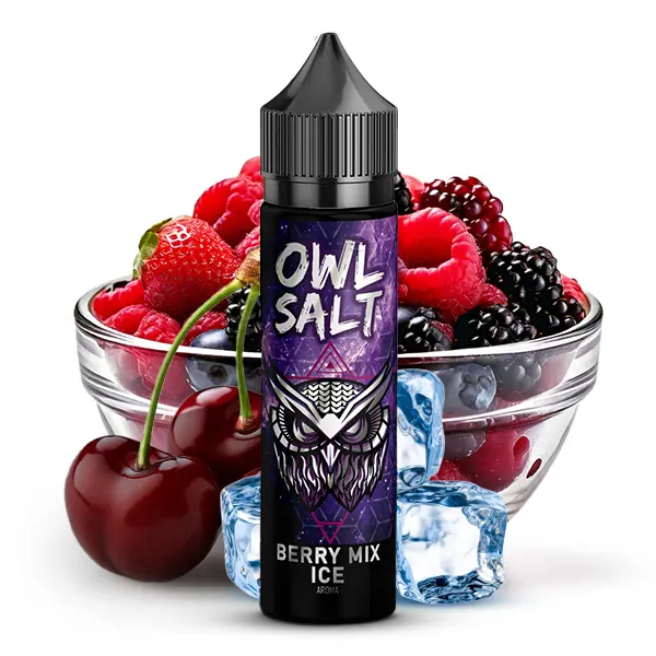 OWL Salt Berry Mix Ice Longfill in lila Flasche 60 ml, umgeben von Beeren und Eiswürfeln