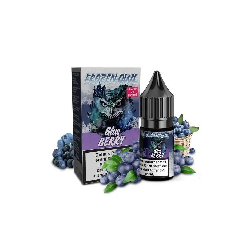 OWL Frozen Blueberry 10ml Nikotinsalz-Liquid Flasche neben Verpackungskarton mit Blaubeeren-Motiv