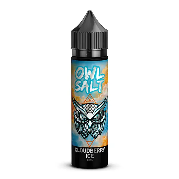 OWL Salt Longfill Cloudberry Ice 60ml Flasche in Blau-Orange mit Eule-Motiv, Frontalansicht
