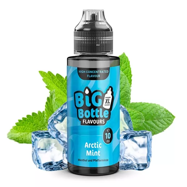 Big Bottle Arctic Mint Longfill 120ml Flasche in Hellblau mit Minzblättern und Eiswürfeln, Vorderseite