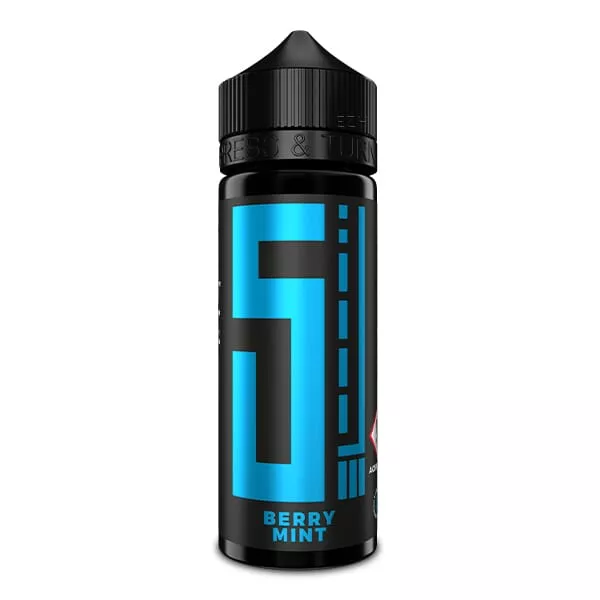 5-el-berry-mint-1 5 Elements Berry Mint Longfill – blaue 120ml-Flasche mit Schraubverschluss, Frontalansicht