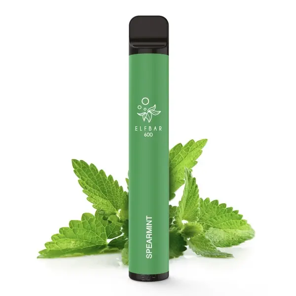 Elfbar 600 Einweg E-Zigarette Spearmint in Hellgrün, 20mg/ml, mit frischen Minzblättern im Hintergrund
