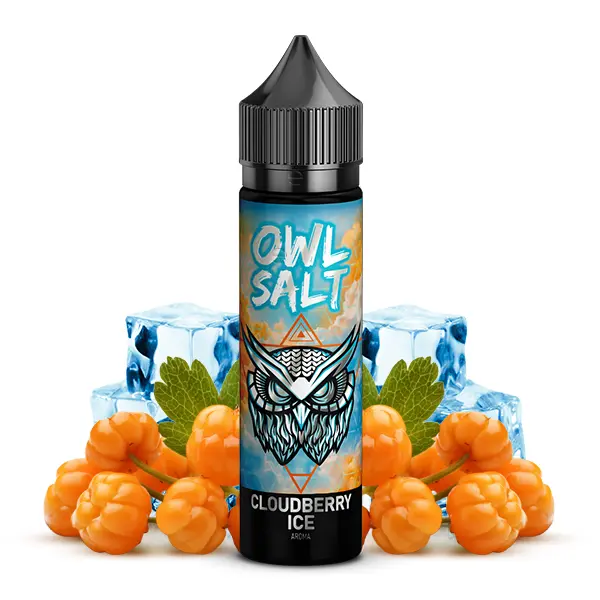 OWL Salt Cloudberry Ice Longfill – orangefarbene Beeren mit Eiswürfeln vor blauem Hintergrund