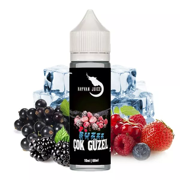 Hayvan Juice Çok Güzel Longfill – 60-ml-Flasche mit Waldbeeren, Erdbeeren und Eiswürfeln auf weißem Hintergrund