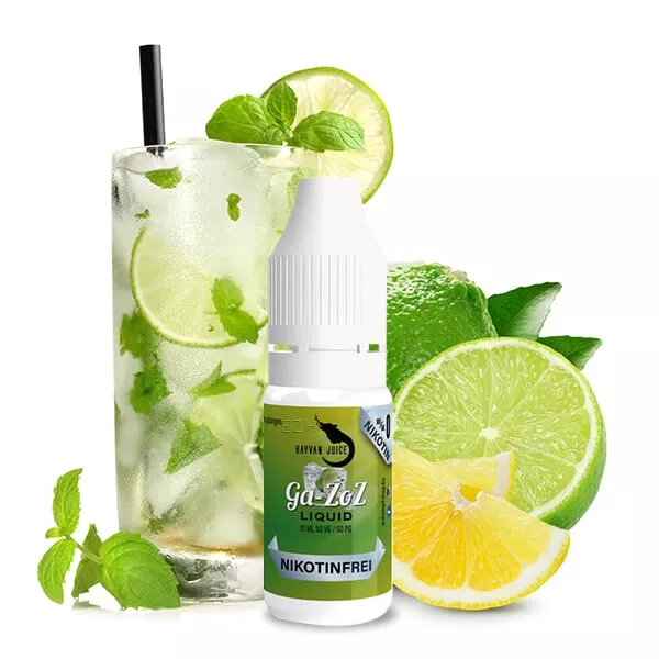 Hayvan Juice Ga-zoz 10ml Liquid – grüne Flasche mit Limetten-Mojito-Motiv im Hintergrund