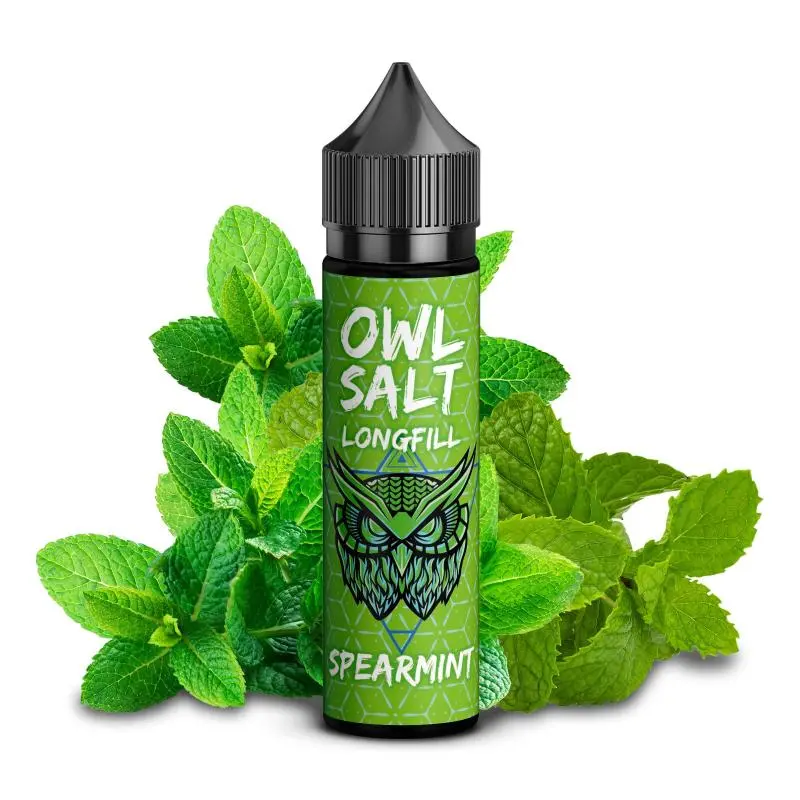 OWL Salt Spearmint Longfill – grüne Flasche umgeben von frischen Pfefferminzblättern