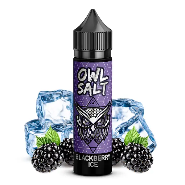 OWL Salt Longfill-Flasche mit lila Etikett, Brombeeren und Eiswürfeln – Blackberry Ice